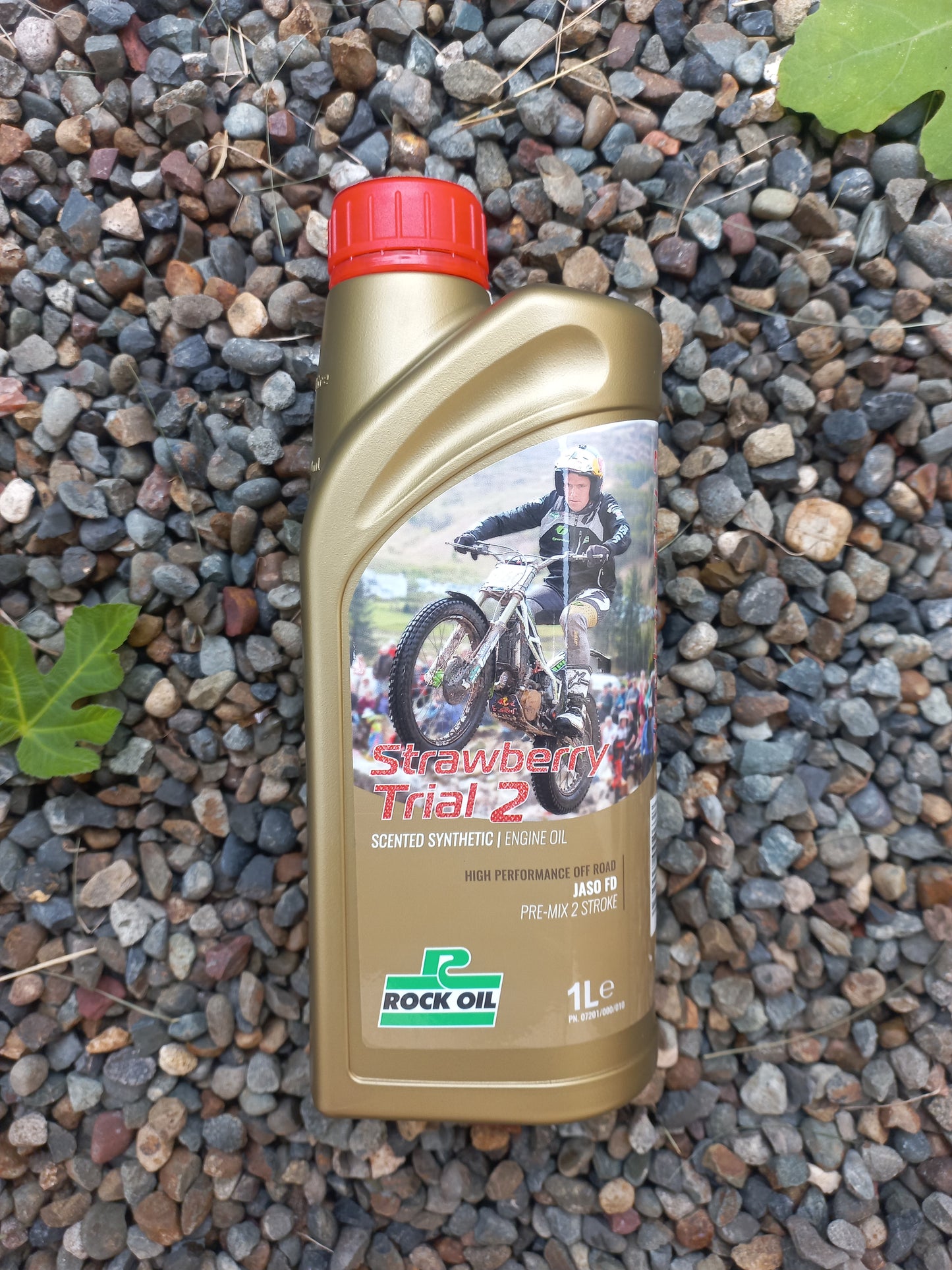 Rock Oil Strawberry Trial 2