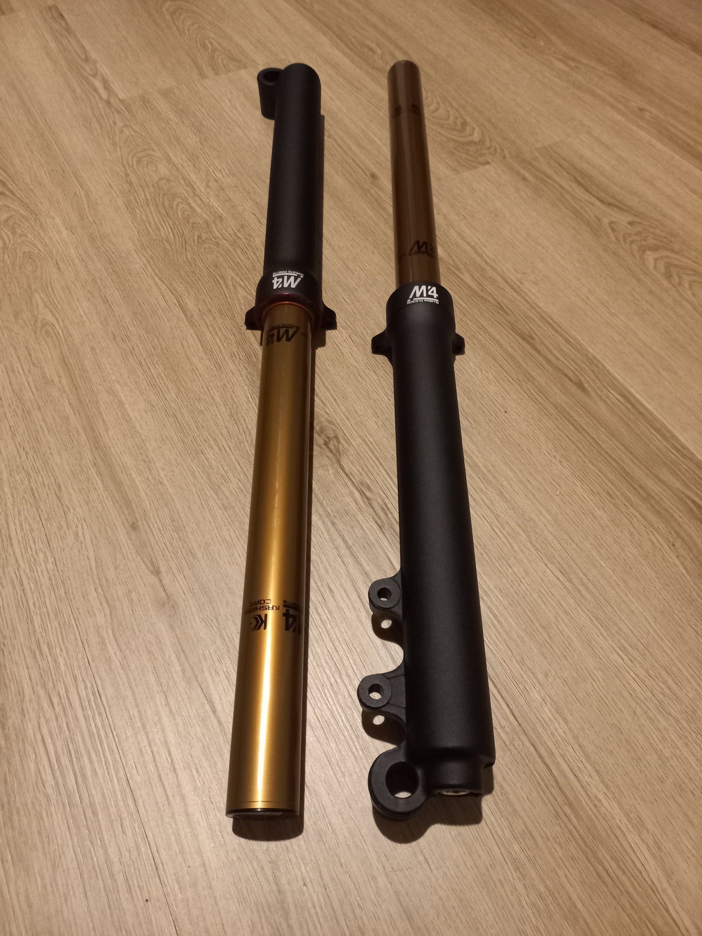 M4 Racing Trial Air Forks