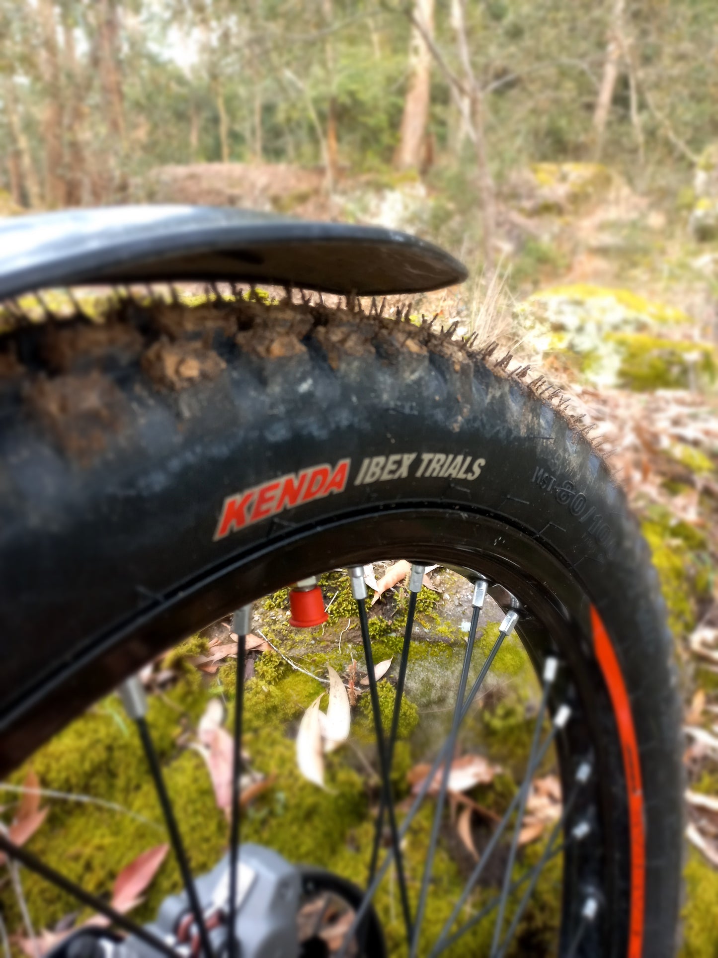 Kenda IBEX Trials Tyres