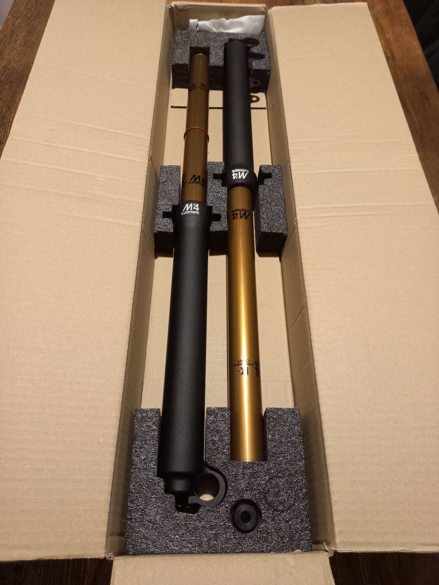M4 Racing Trial Air Forks