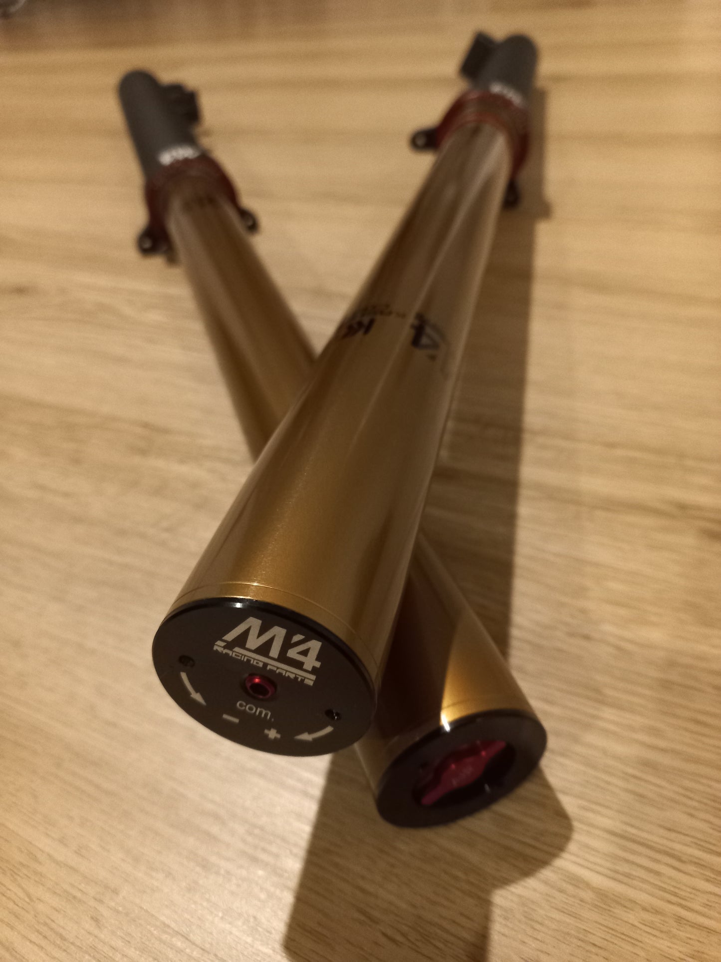 M4 Racing Trial Air Forks