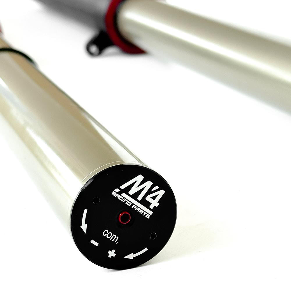 M4 Racing Trial Air Forks