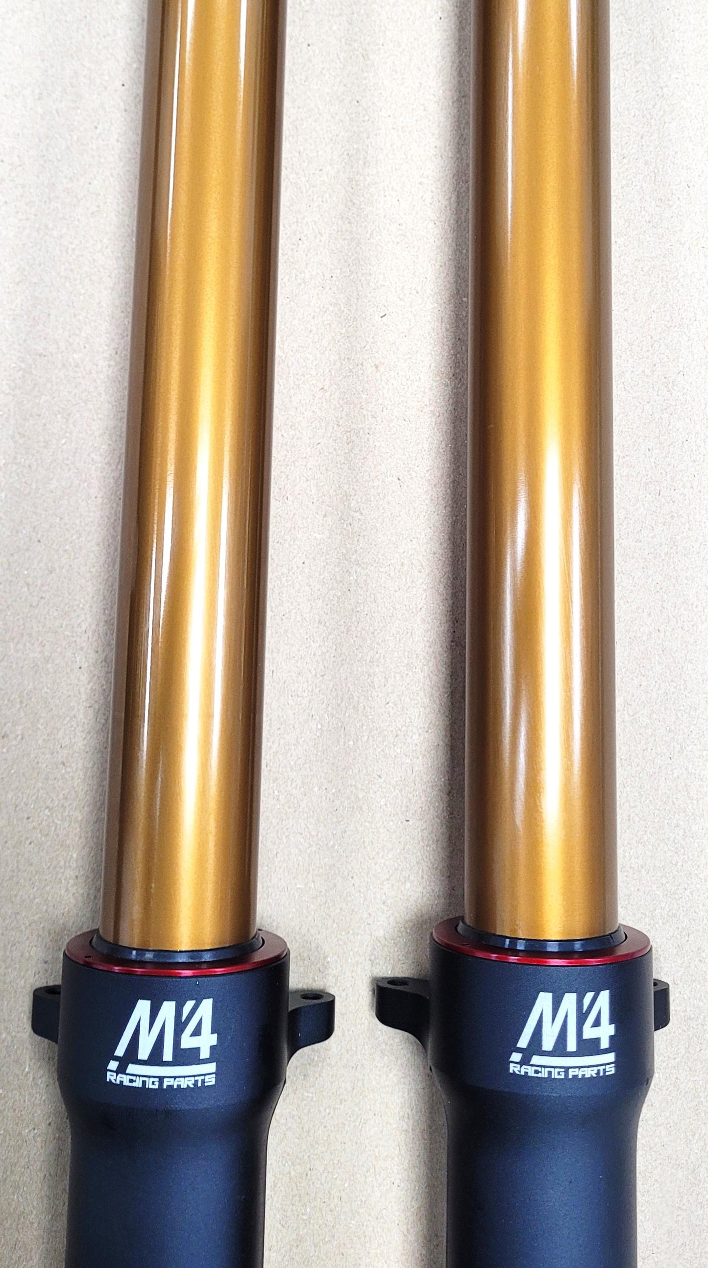 M4 Racing Trial Air Forks