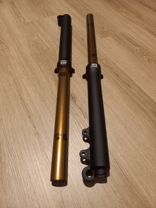 M4 Racing Trial Air Forks
