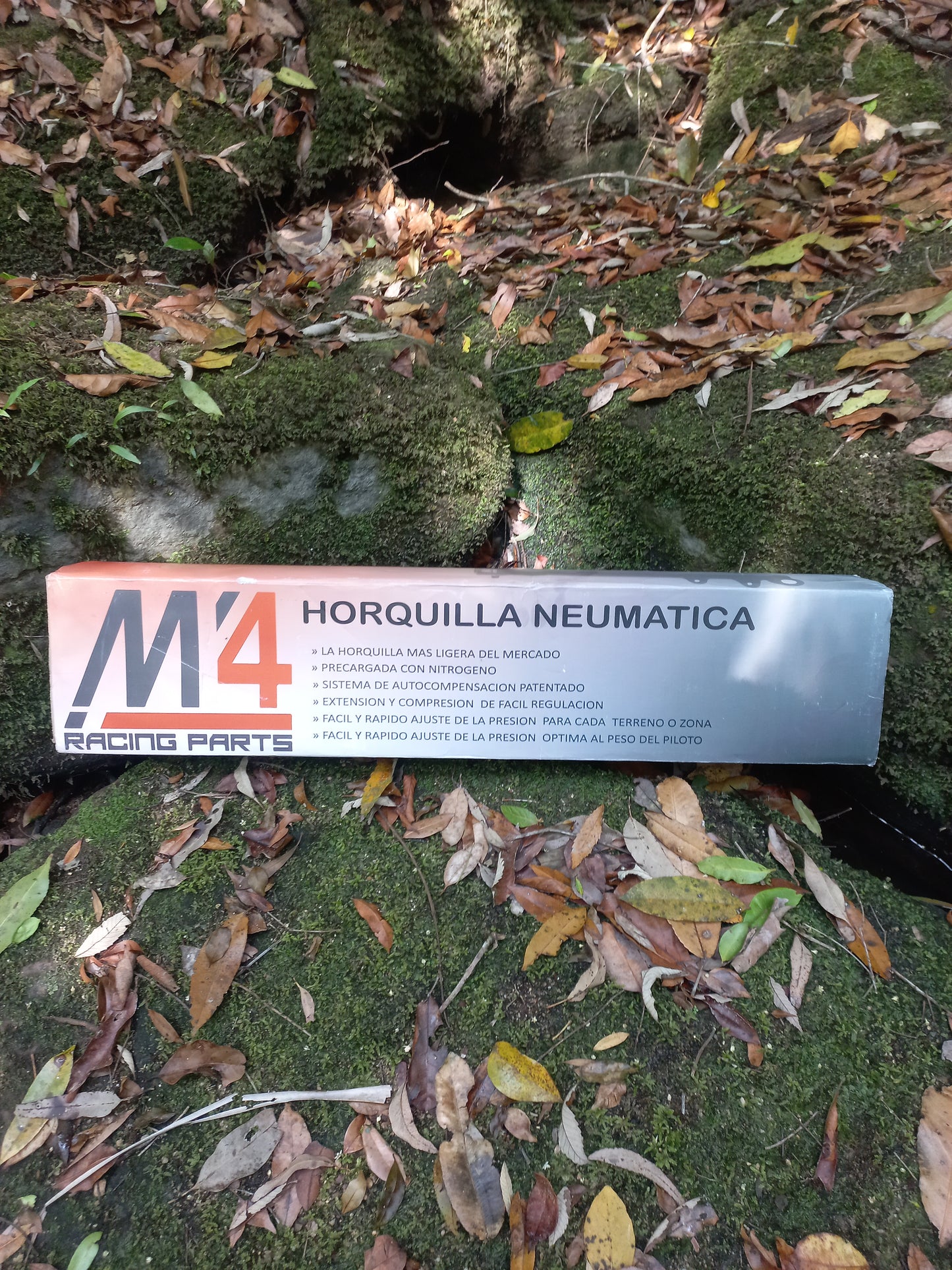 M4 Racing Trial Air Forks